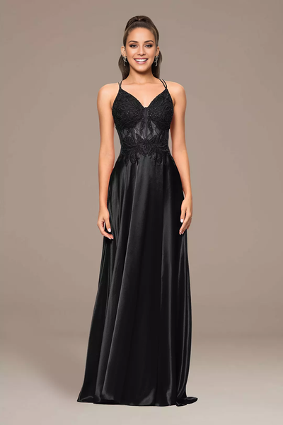 Wildflowera A-Line Dress with Appliqued Bodice